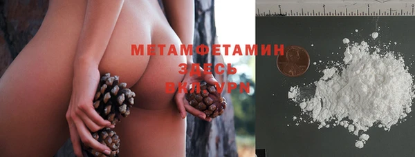 шишки Аркадак