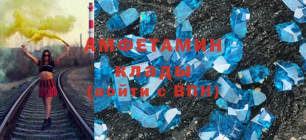 шишки Аркадак