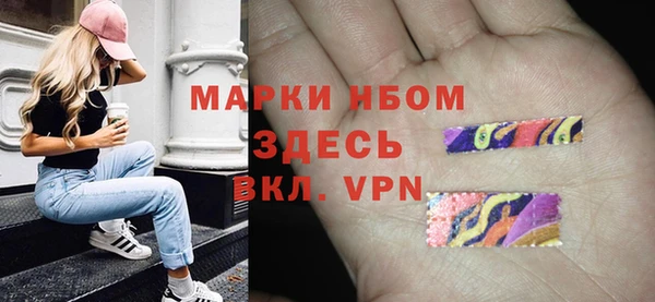 шишки Аркадак