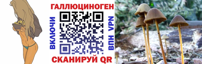 Псилоцибиновые грибы ЛСД Судак
